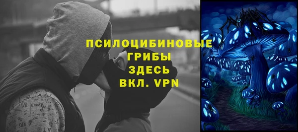 не бодяженный Снежногорск