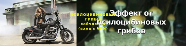 крисы Снежинск