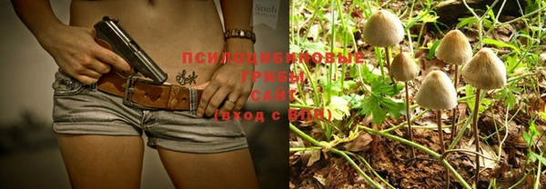 крисы Снежинск