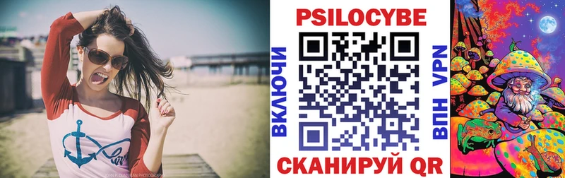 Псилоцибиновые грибы Psilocybe  Купить где  Чегем 